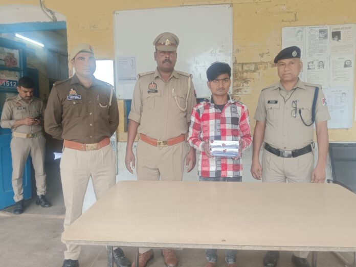 WhatsApp Image 2025-10-31 at 18.10.43